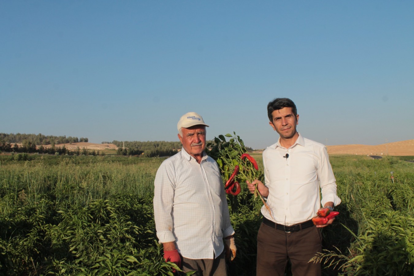 HÜDA PAR İl Başkanı'ndan Urfalı gençler için proje önerisi