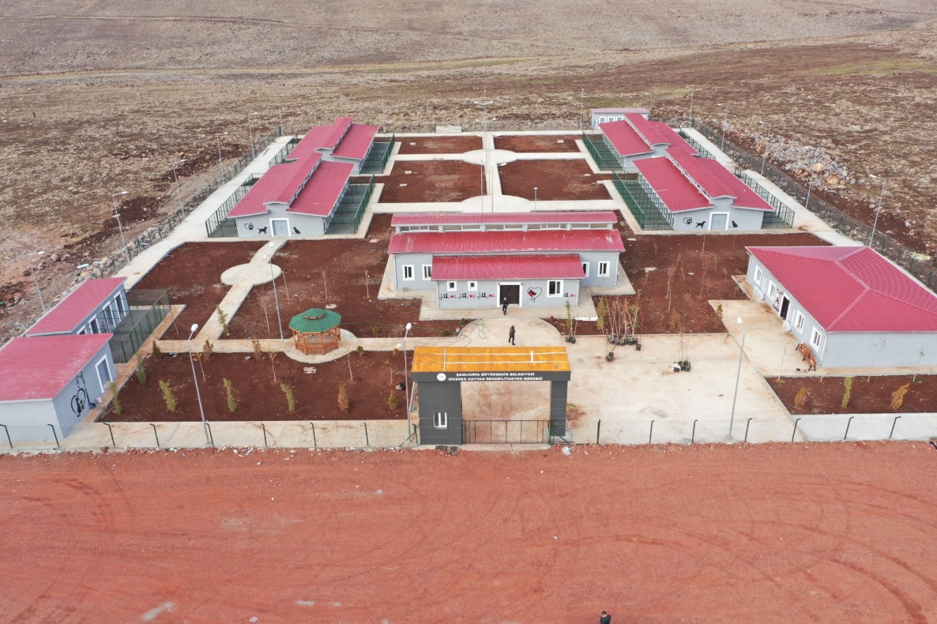 Urfa’da sokak hayvanları için modern tesis