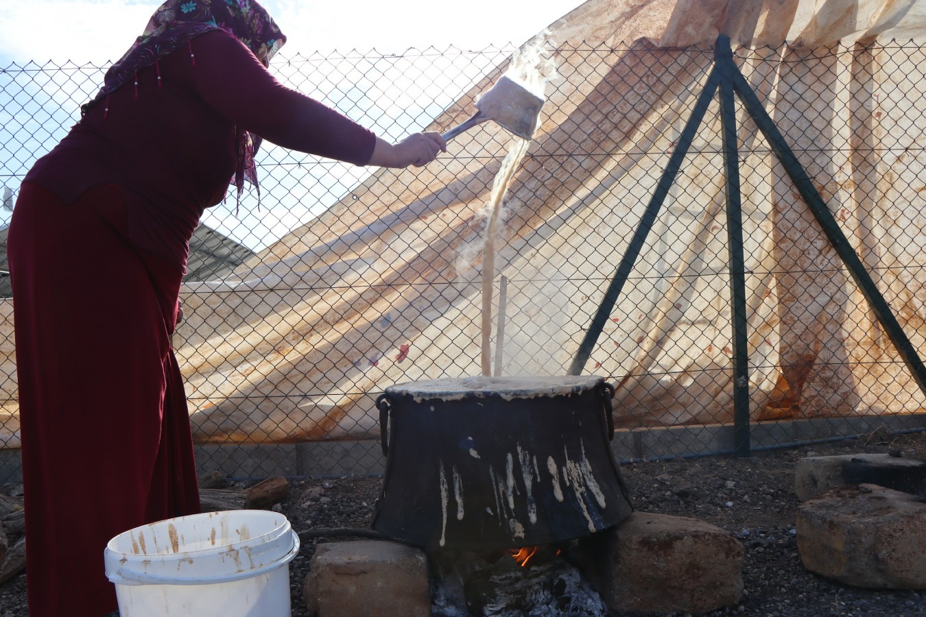 Kadınlar seralarda hasat yaptı