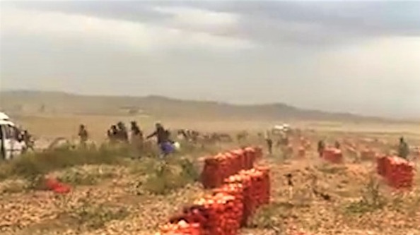 Mevsimlik tarım işçileri zor şartlarda çalışıyor