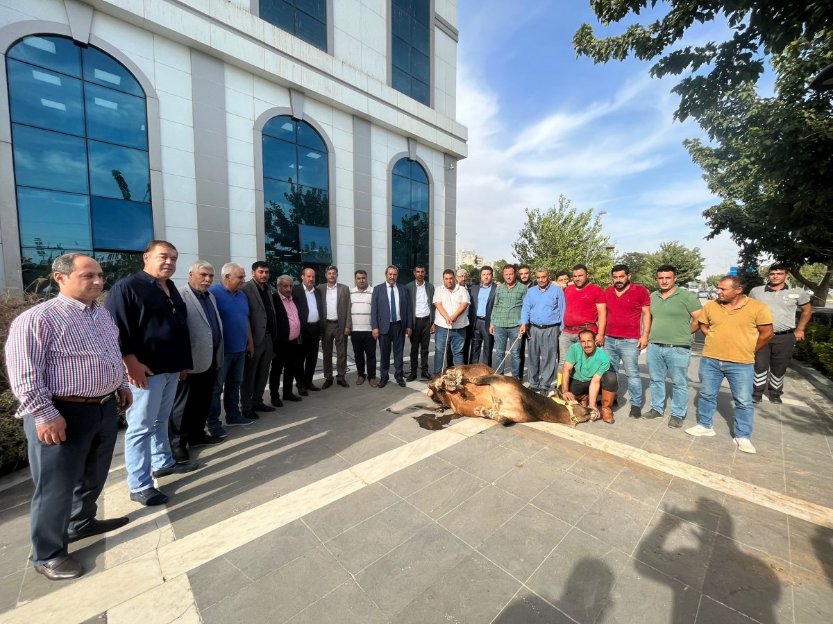 Başkan Kaya, tebrikleri kabul etmeye devam ediyor