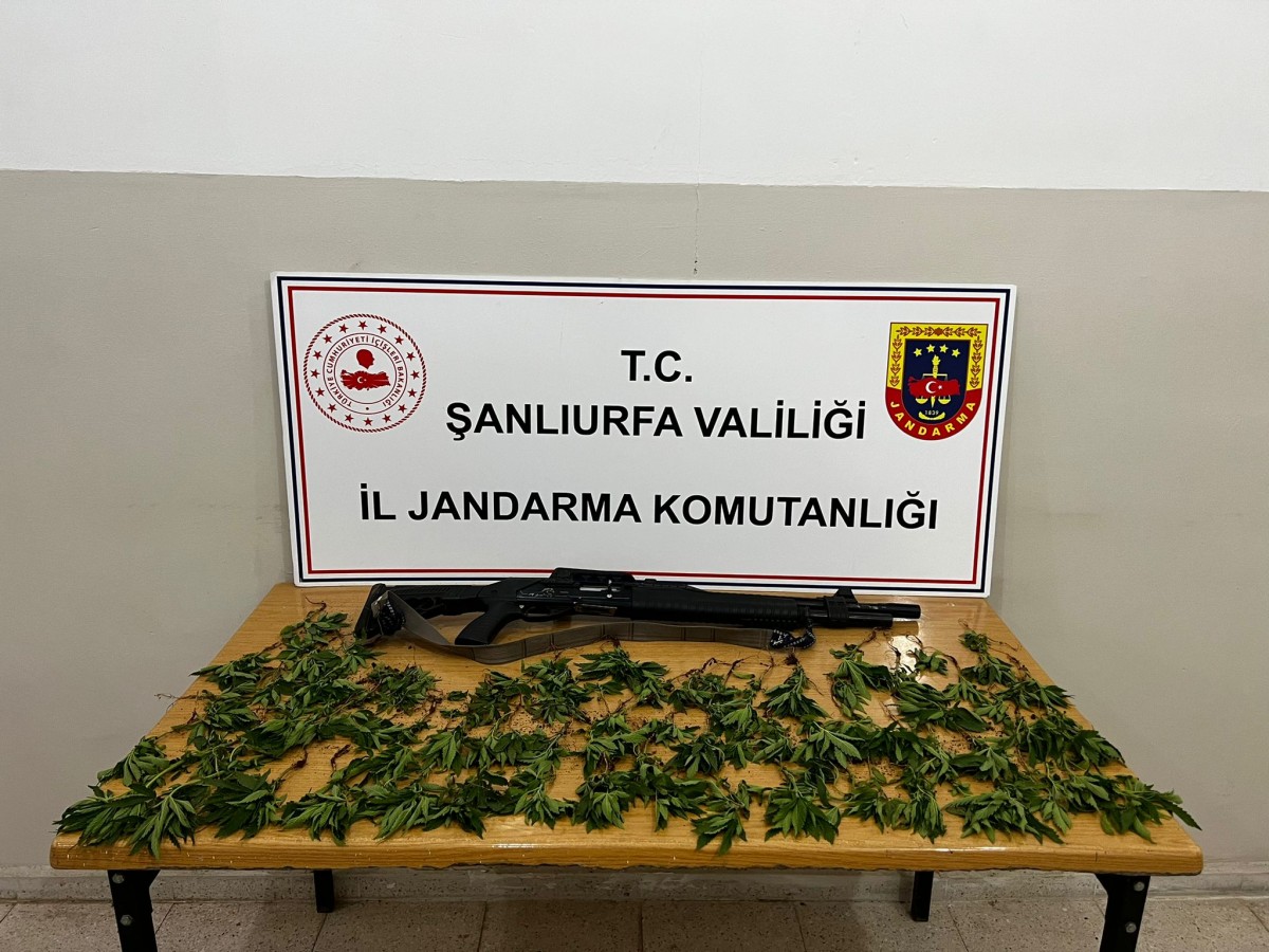 Hilvan’da jandarmadan operasyon