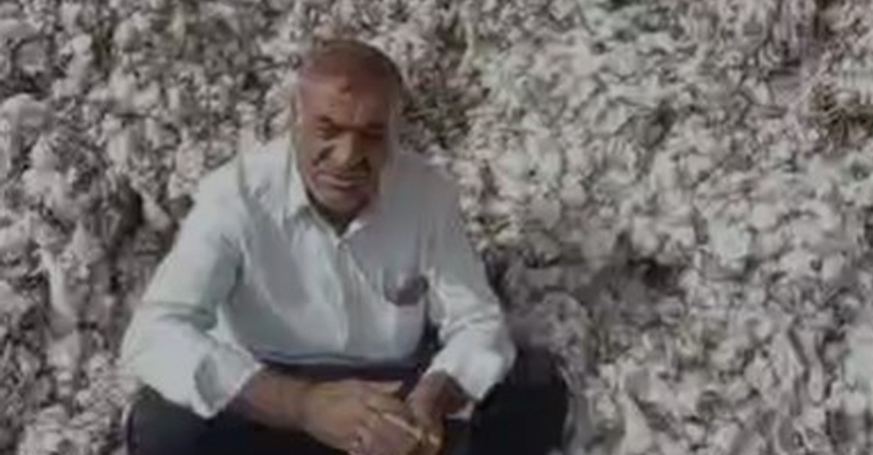 Urfalı pamuk çiftçisi tövbe etti! "Böbreğimi satsam da..."