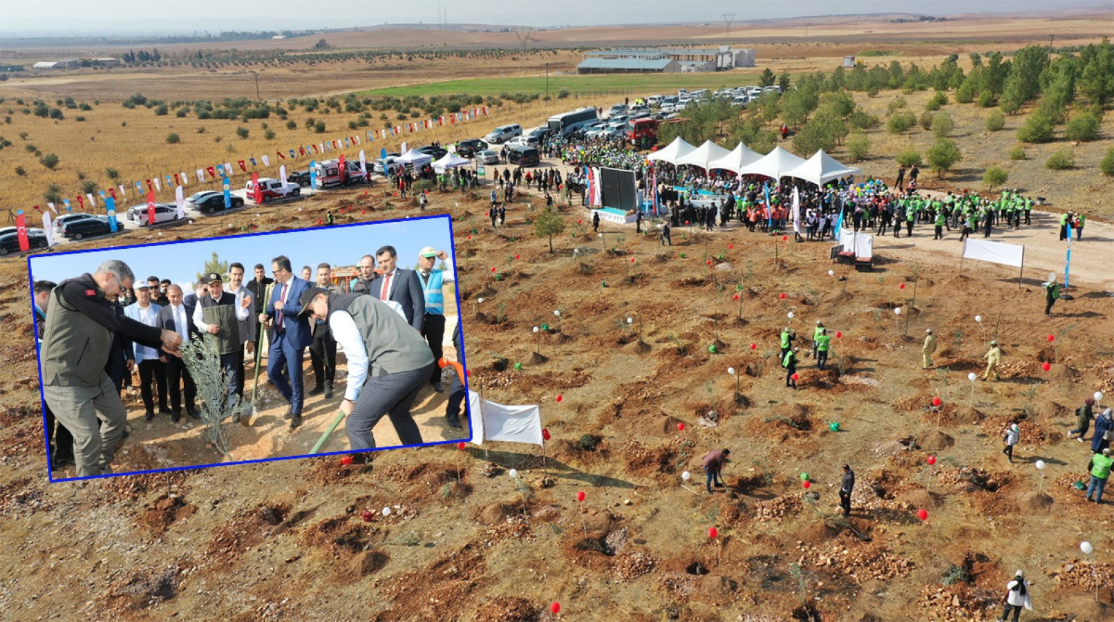 Urfa'da fidanlar toprakla buluştu