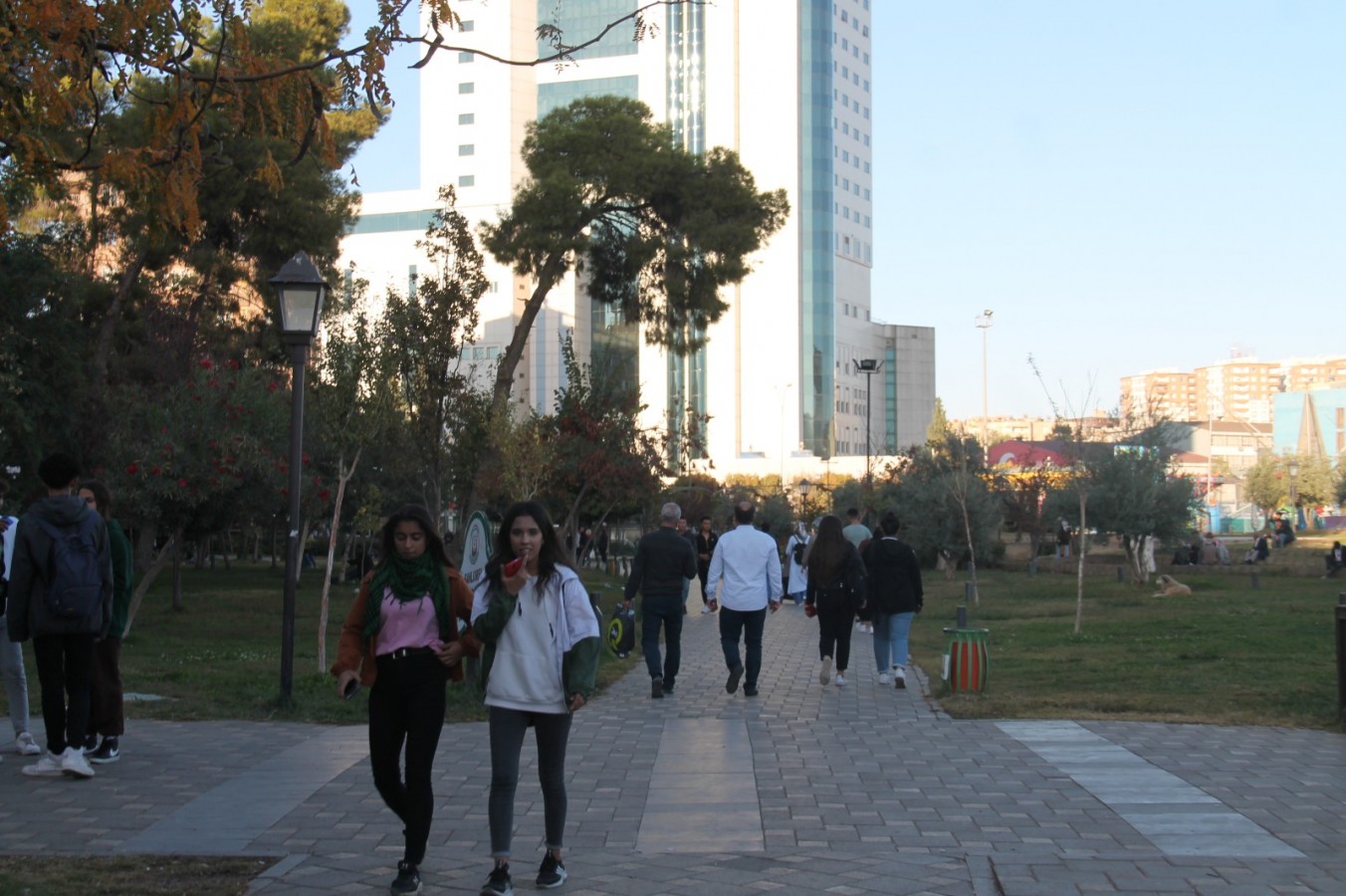 Urfa’da fakülte mezunu sayısı kaç?
