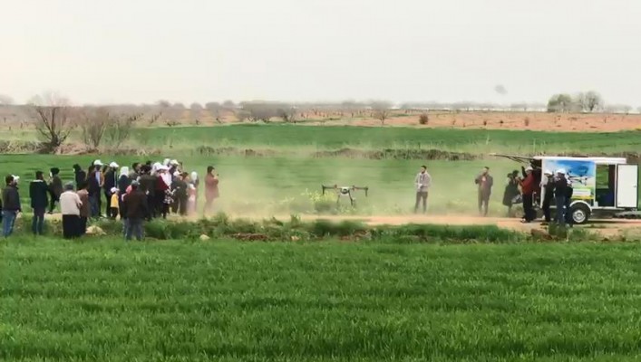 Şanlıurfa’da tarlalar drone ile ilaçlandı