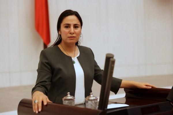 Sürücü, Suruç’taki elektriksiz mahalleyi Bakan’a sordu