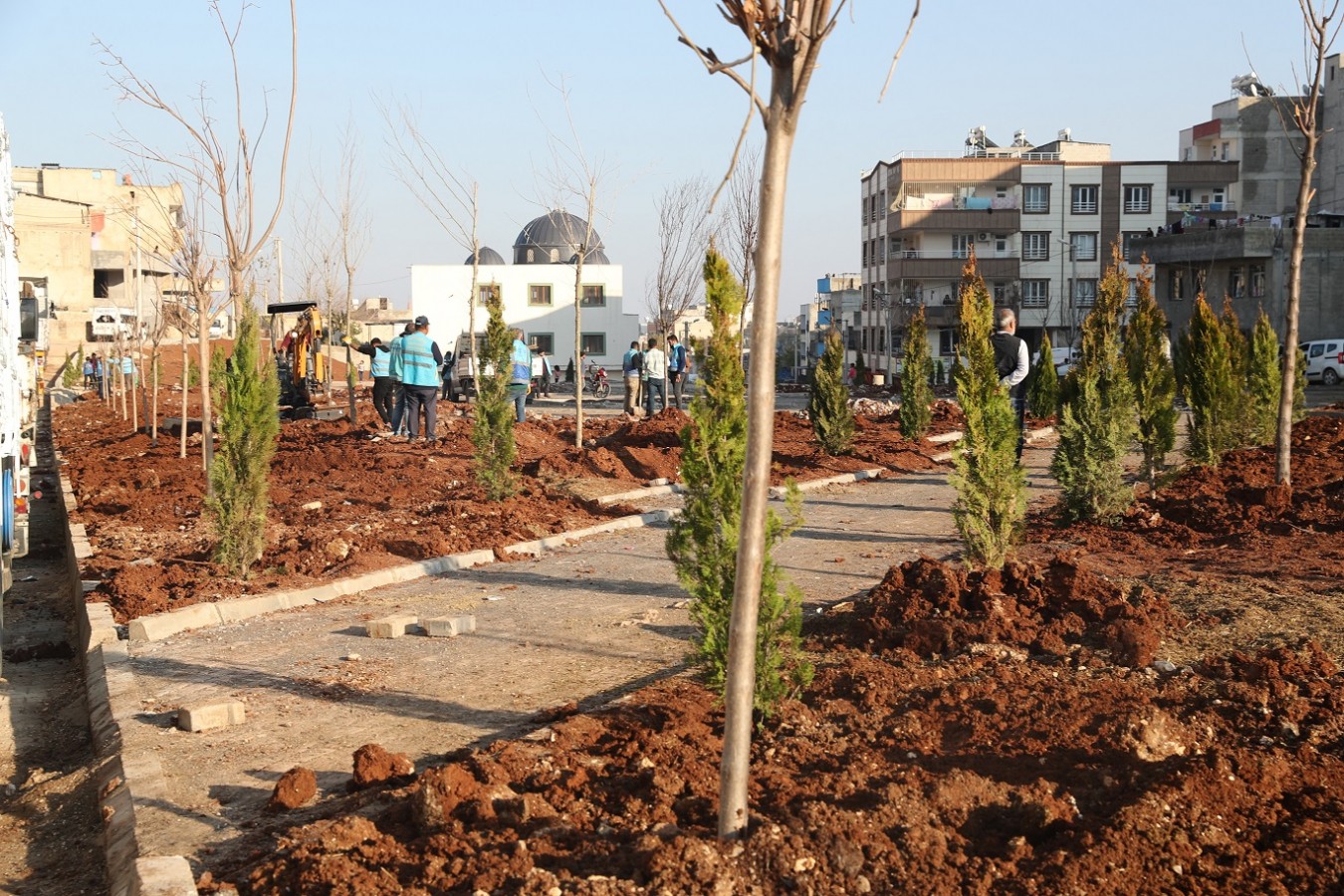 Kito Deresinde ağaçlandırma çalışmaları başladı