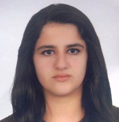 Van’dan Şanlıurfa'ya gelen kız kayboldu