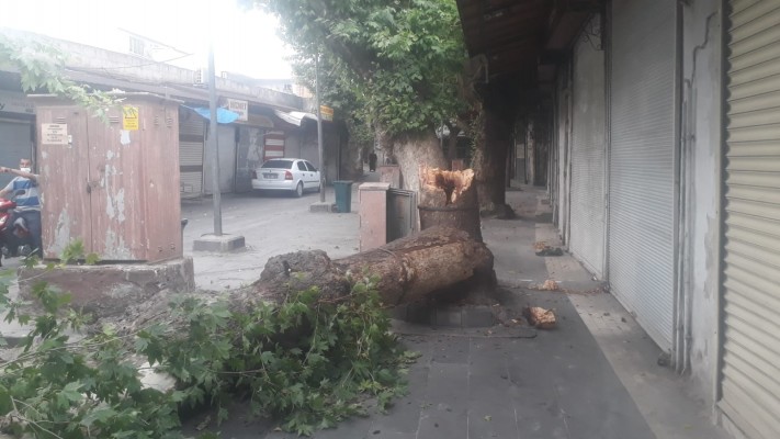 Urfa'da baharda kenti fırtına vurdu!