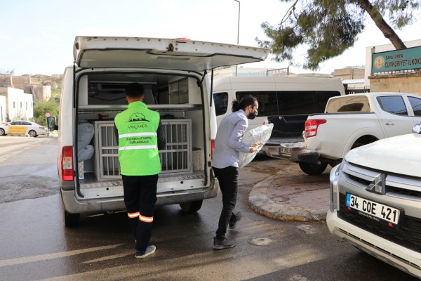 Tam kapanmada sokak hayvanları unutulmadı