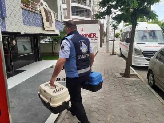 Zabıta ekipleri vatandaşların imdadına yetişiyor