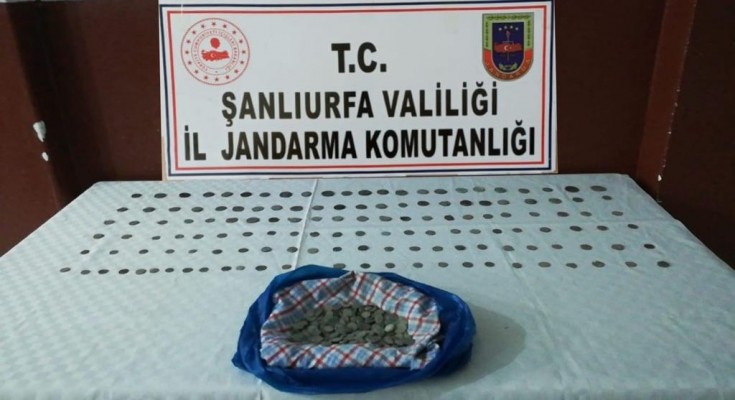 Şanlıurfa'da yüzlerce tarihi sikke ele geçirildi