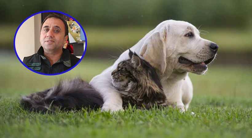 Şanlıurfa’da kaç kedi köpeğe çip takıldı?