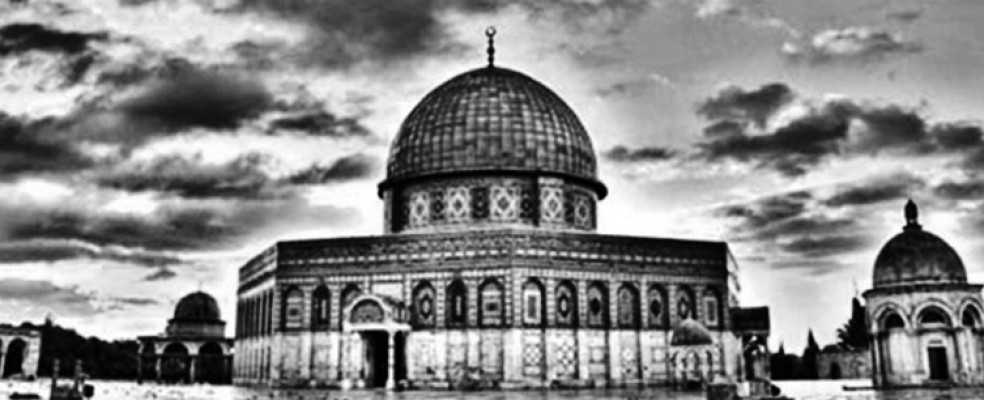 Şanlıurfa KADEM'den kınama