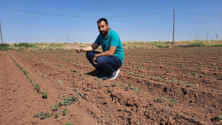 Kuraklık çiftçinin belini büktü