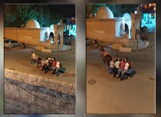 Urfa'da hayvana eziyet saniye saniye görüntülendi!