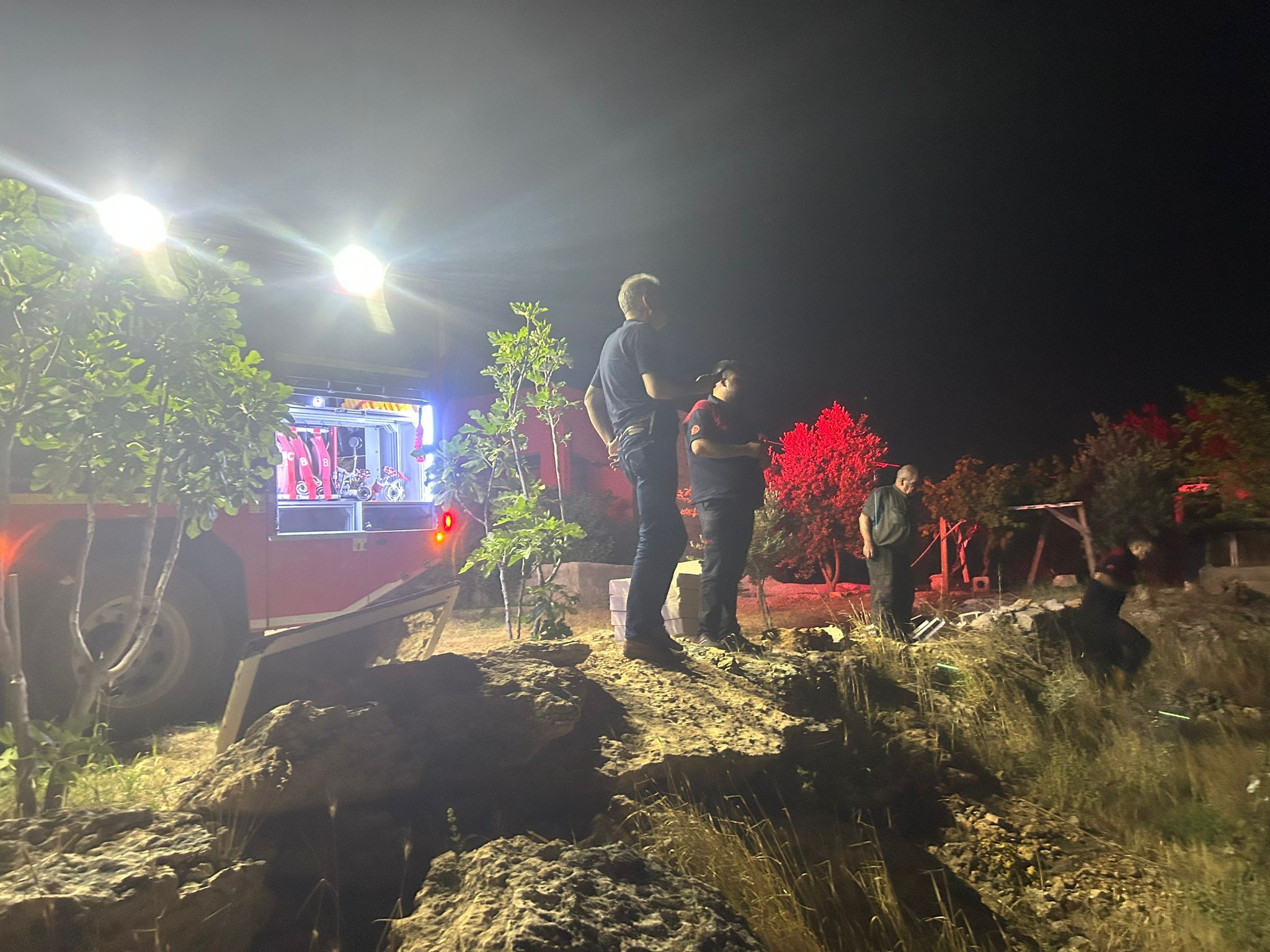 Eyyübiye’de çıkan orman yangını itfaiye ekipleri tarafından söndürüldü