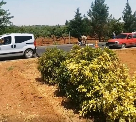 Otomobil sürücüsü adliyeye sevk edildi (EK)