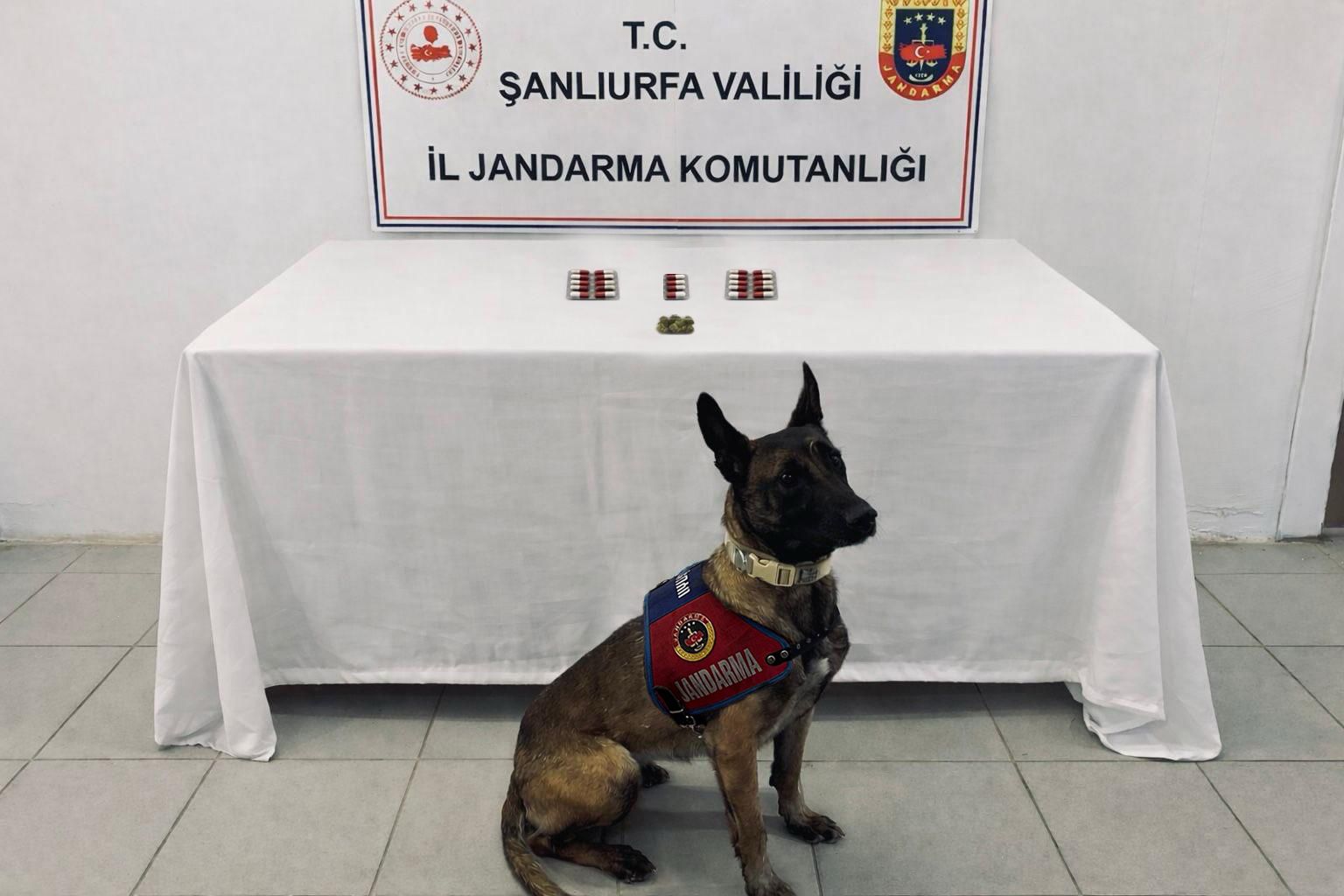 Şanlıurfa’da operasyon! Uyuşturucu Ve Tabanca Ele Geçirildi!