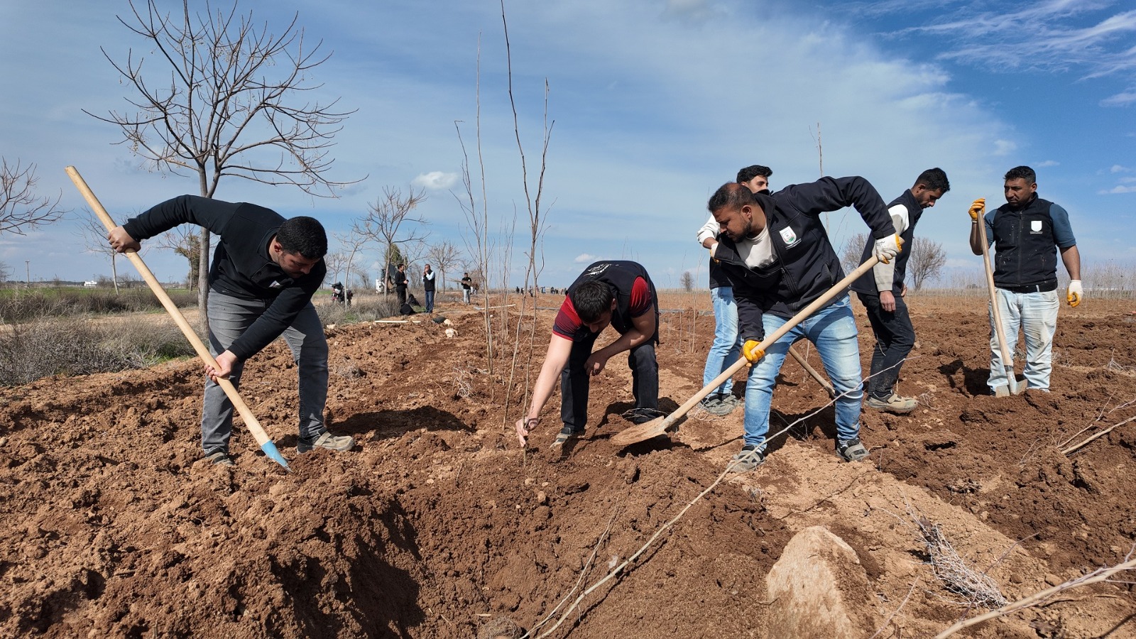 ŞANLIURFA BÜYÜKŞEHİR BELEDİYESİ’NDEN 20 BİN ÇINARLIK YEŞİL HAMLE