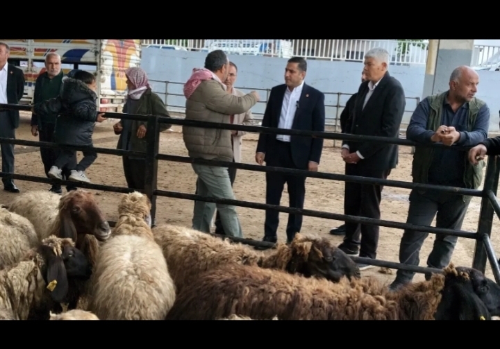CHP Şanlıurfa İl Başkanı Ferhat Karadağ: Hayvan pazarında tablo endişe verici