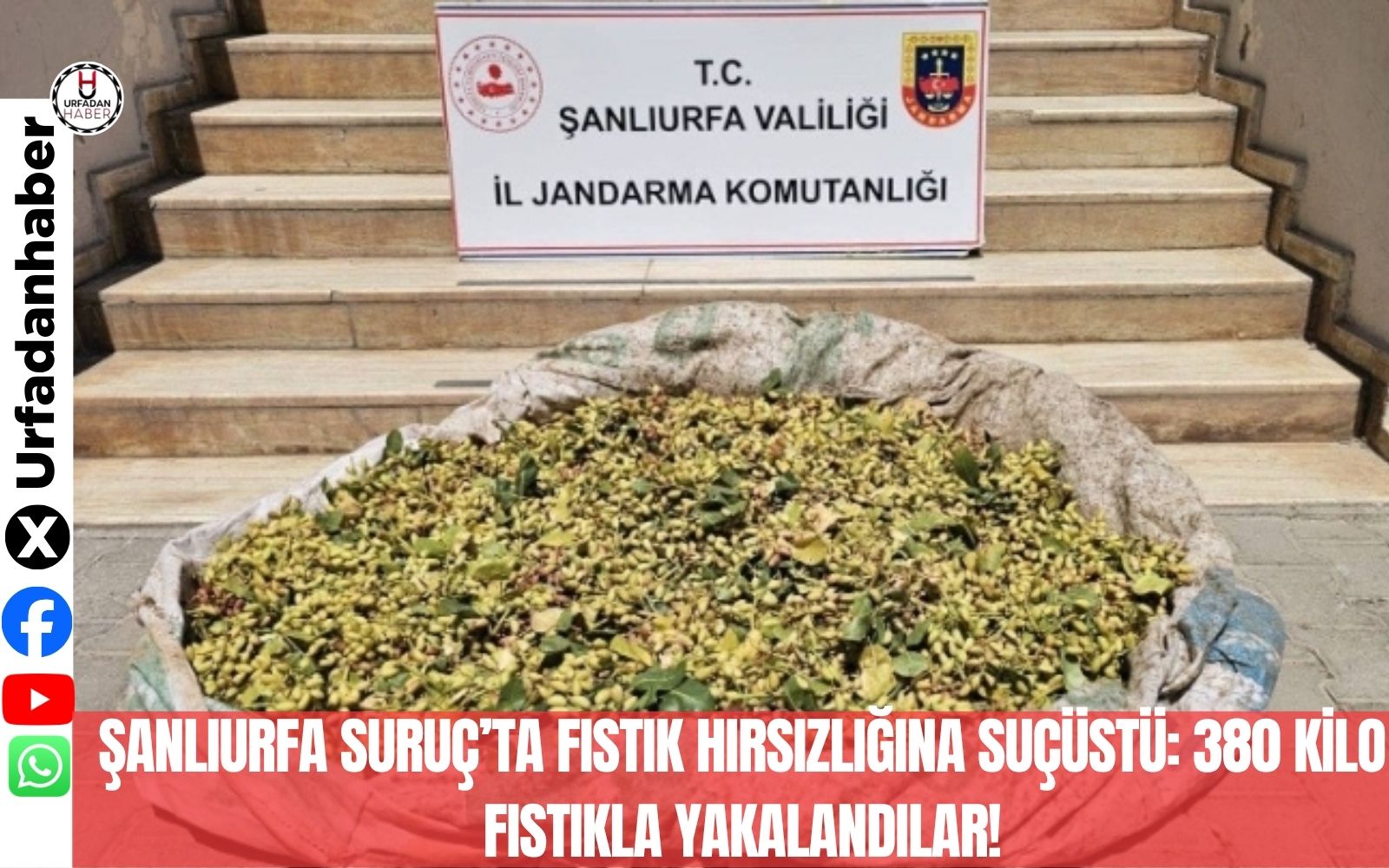 Şanlıurfa Suruç’ta fıstık hırsızlığına suçüstü: 380 kilo fıstıkla yakalandılar!