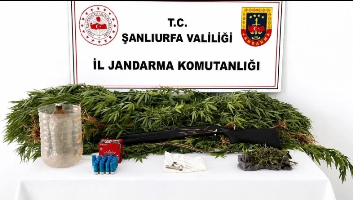 Şanlıurfa’da uyuşturucu operasyonu! Esrar, kenevir ve tüfek ele geçirildi