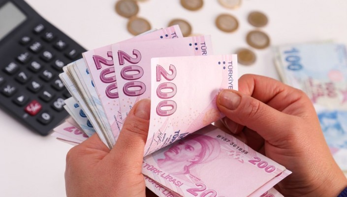 Hibe desteği ödemeleri yarın başlıyor