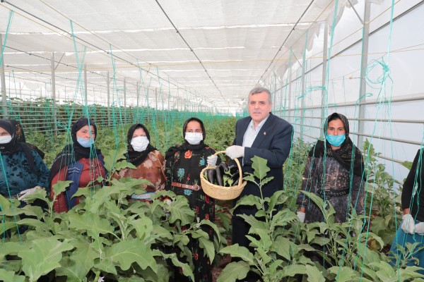 ‘Toplum temelli seracılık’ projesinde ilk hasat yapıldı