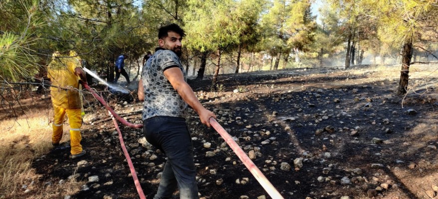 Göbeklitepe yakınında orman yangını