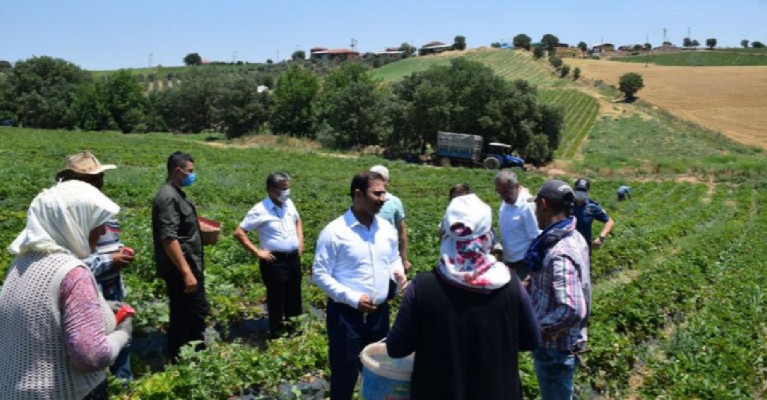Mevsimlik işçilerin sorununa Urfalı kaymakamdan çözüm