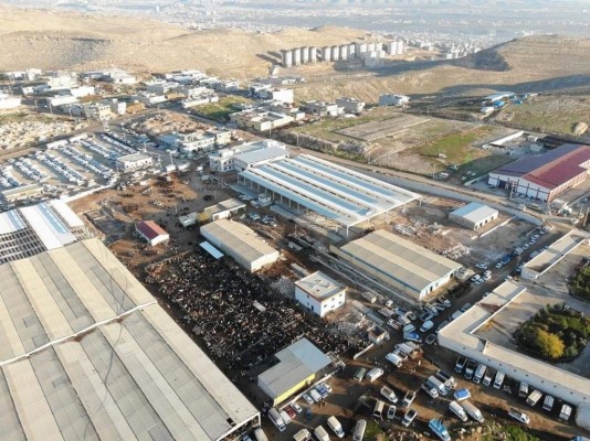 Şanlıurfa’da küçükbaş hayvan fiyatları belli oldu