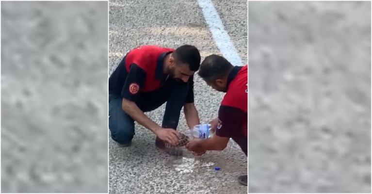 Urfa İtfaiyesi Osmaniye'deki yangında hayvanların kurtarıcısı oldu