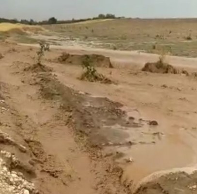 Şiddetli yağmur tarlaları sular altında bıraktı