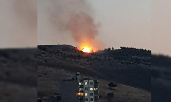 Eyyübiye'deki ağaçlık alanda yangın