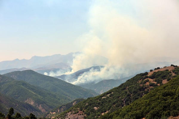 74 barodan Tunceli’deki orman yangını için açıklama