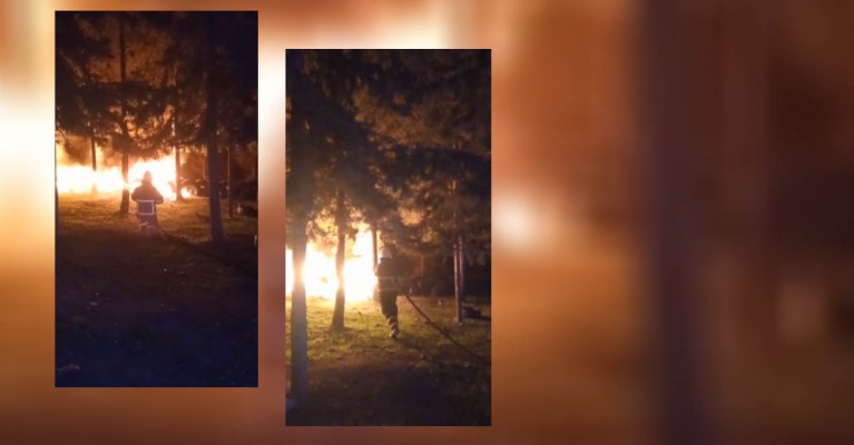 Şanlıurfa'da ormanlık alanda yangın