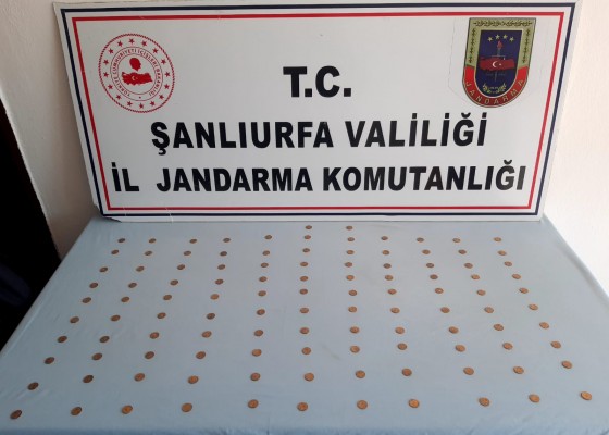 Viranşehir’de 110 altın sikke ele geçirildi (EK)