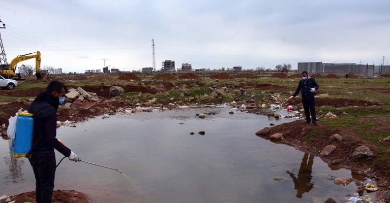 Siverek’te larva ile mücadele başladı