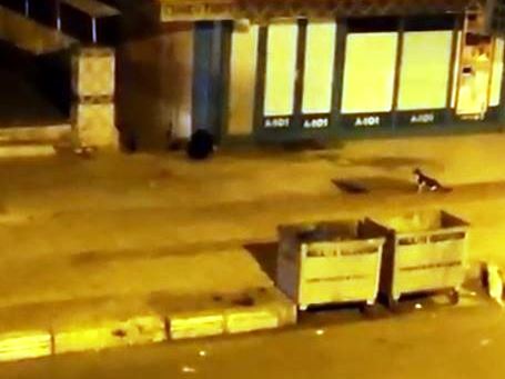 Şanlıurfa'da şüpheli çanta paniğe neden oldu