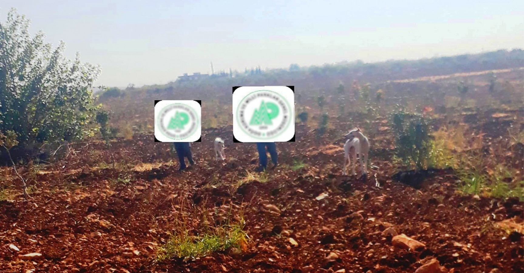 Şanlıurfa'da kaçak avlanan 2 kişi yakalandı