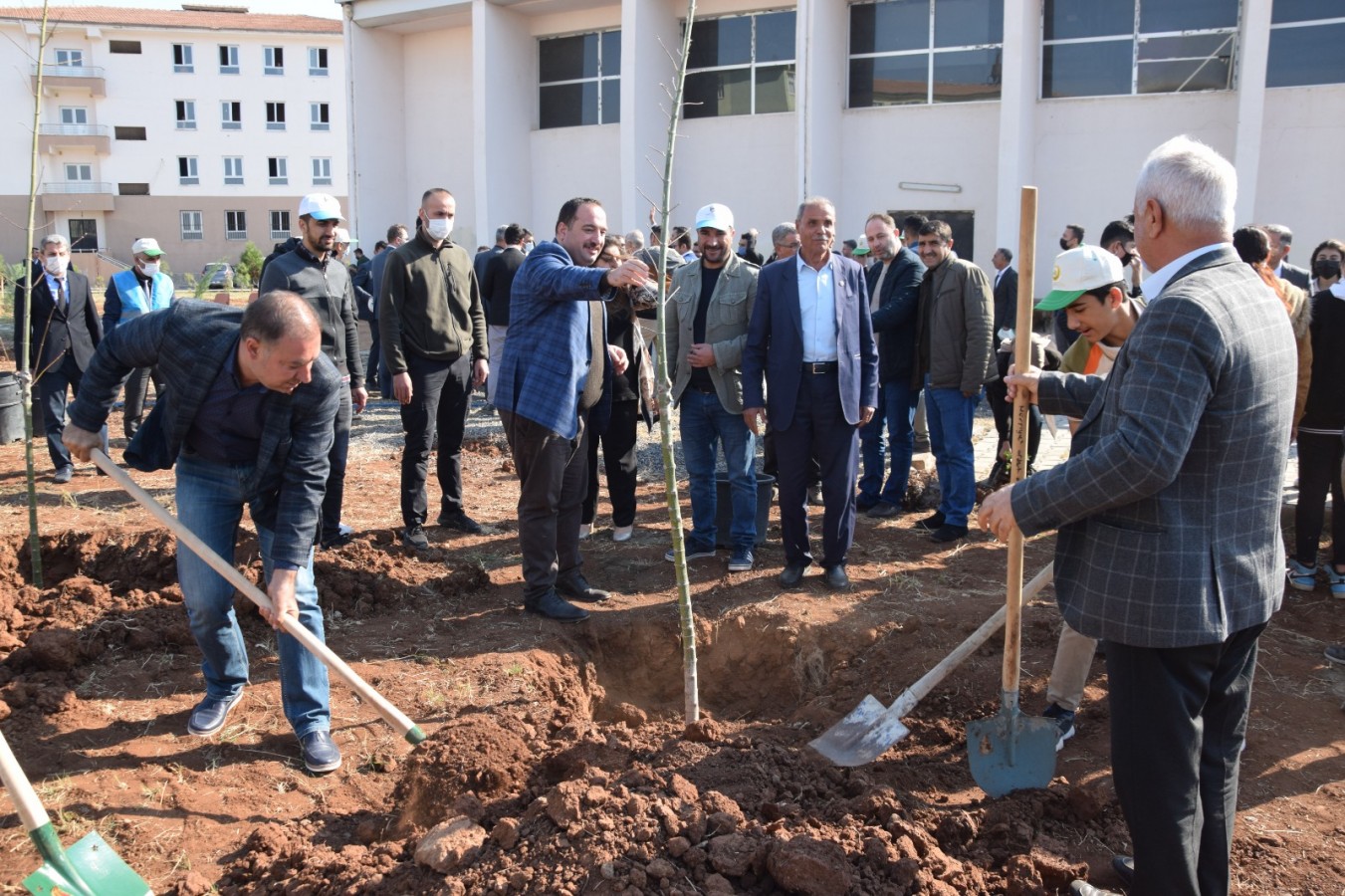 Viranşehir'de fidan dikme etkinliği
