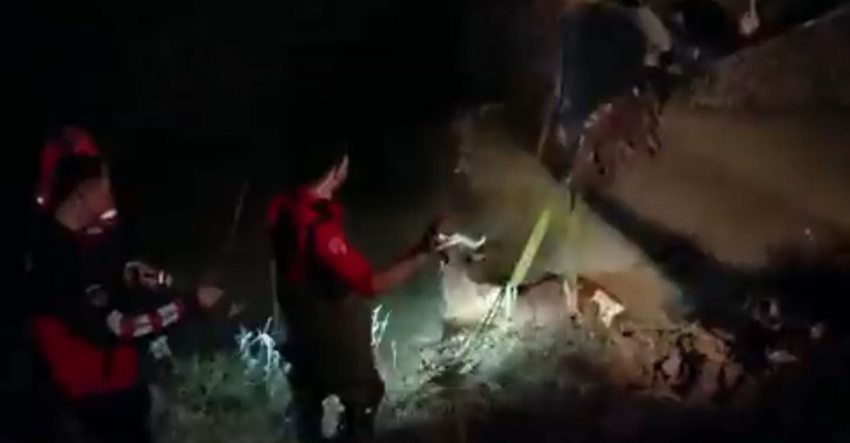 Tahliye kanalına düşen ineği itfaiye kurtardı