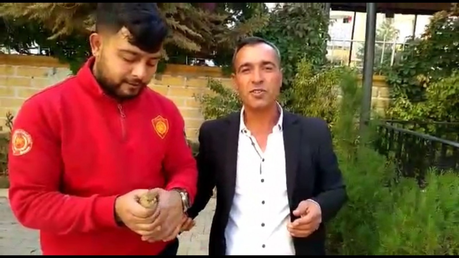 Yavru serçeyi demir korkuluktan itfaiye kurtardı