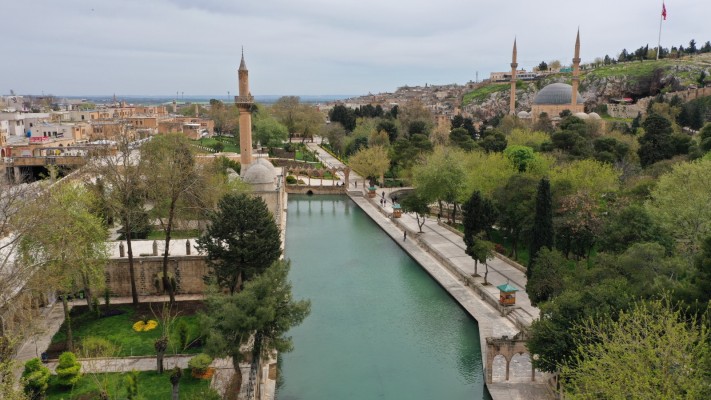 Balıklıgöl’de balık ölümleri kayıt altına alınıyor