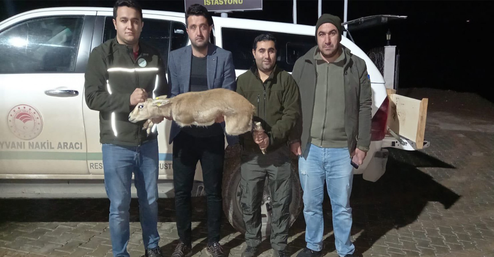 Yasa dışı ceylan bulunduran kişiye ceza