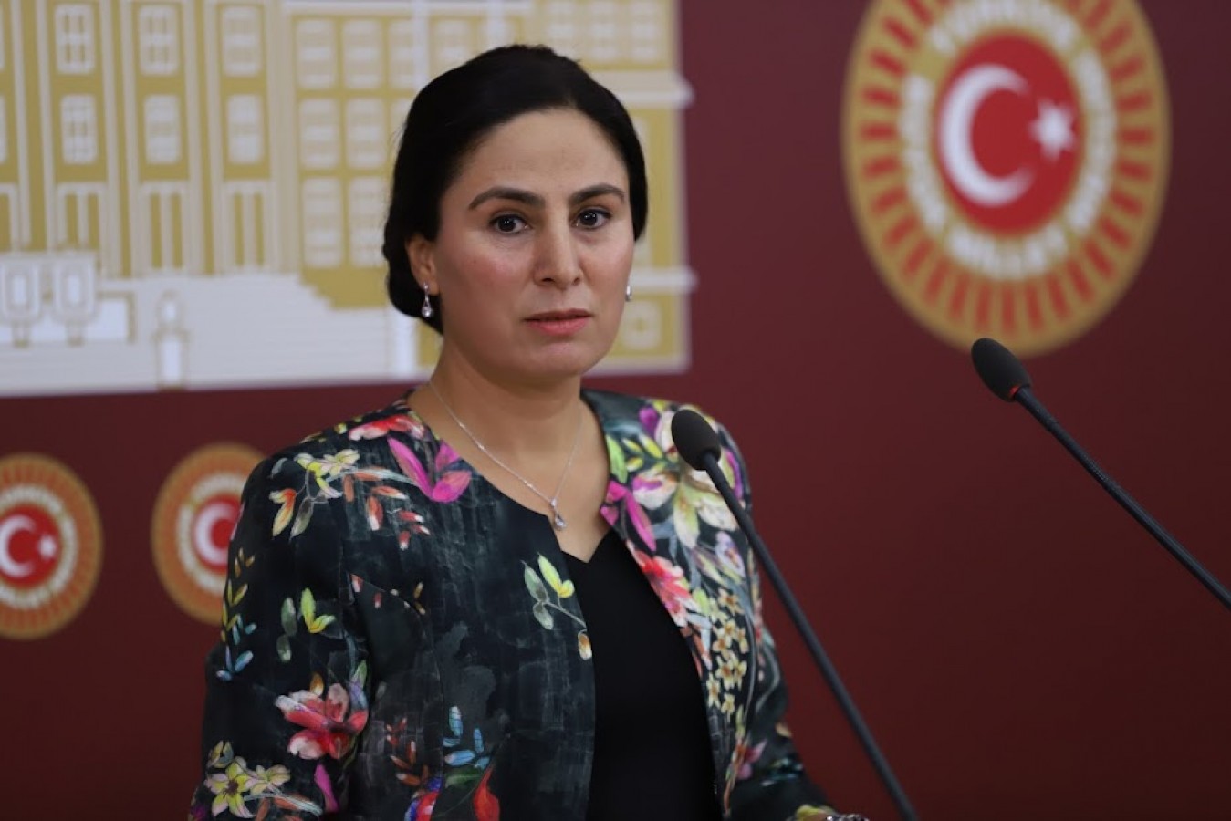 GAP Havaalanı’ndaki sis sorunu Meclis’e taşındı