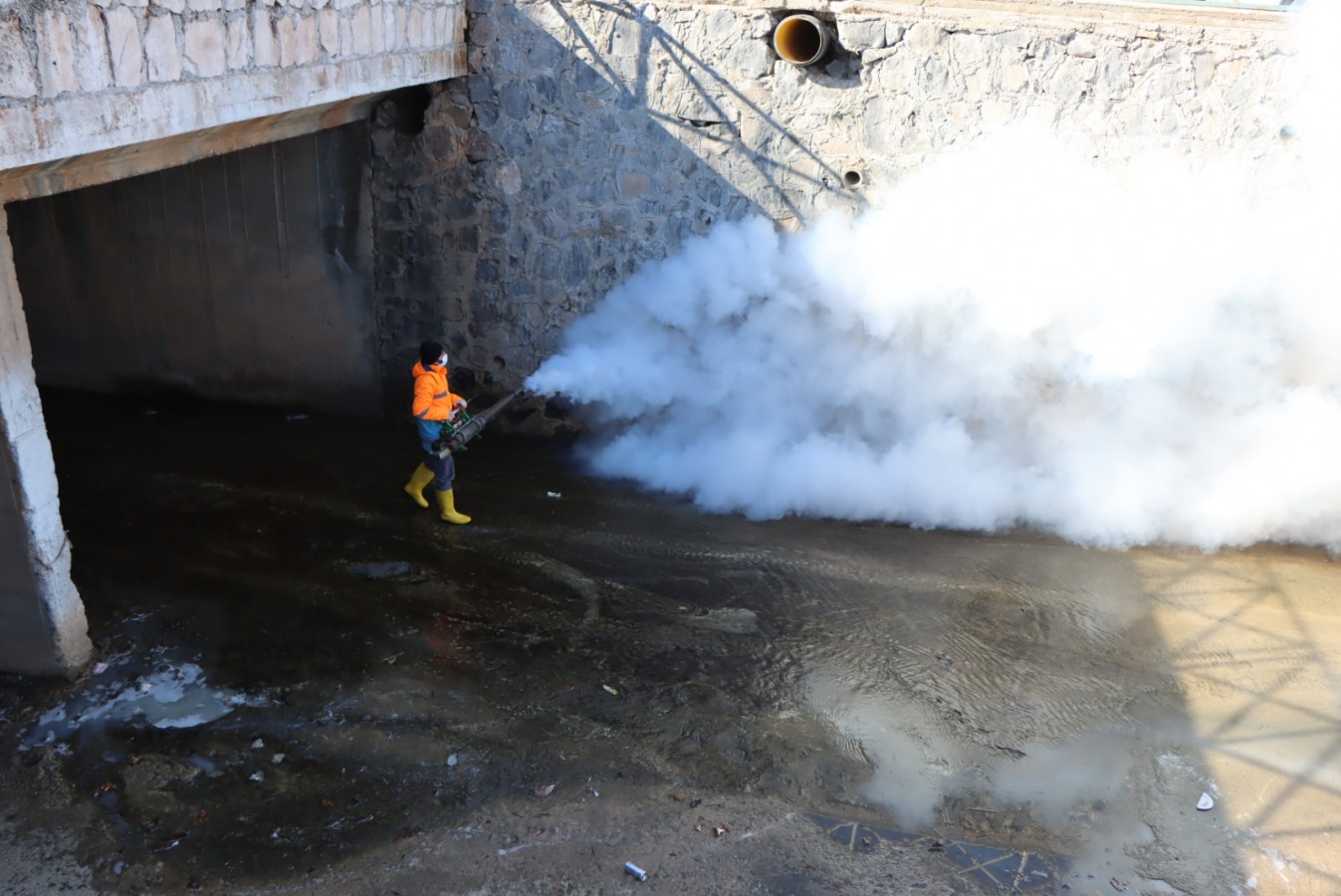 Büyükşehir’in vektörle mücadelesi sürüyor