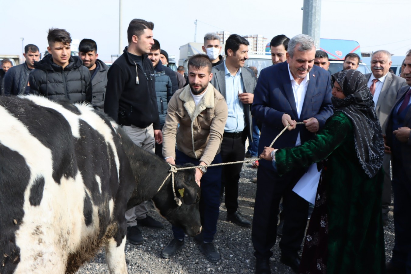 Büyükşehir’den hayvancılığa destek